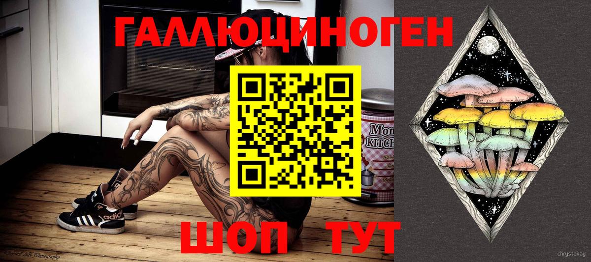 Полевской  Псилоцибиновые грибы Cubensis  Вход с VPN 